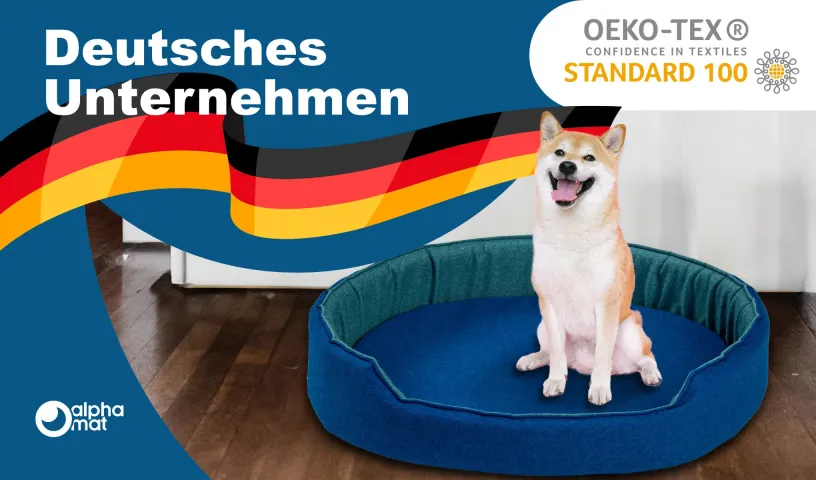 Discovery B Lager Discovery B Lager