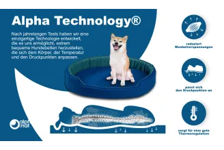 Discovery B Lager Discovery B Lager