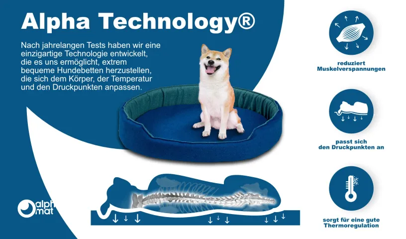 Discovery B Lager Discovery B Lager