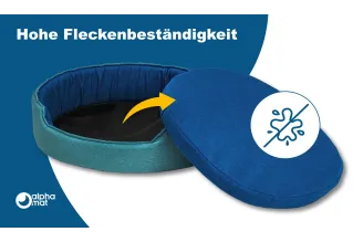 Discovery A Lager Discovery A Lager