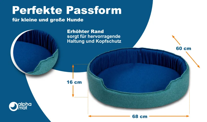 Discovery A Lager Discovery A Lager