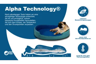 Discovery A Lager Discovery A Lager