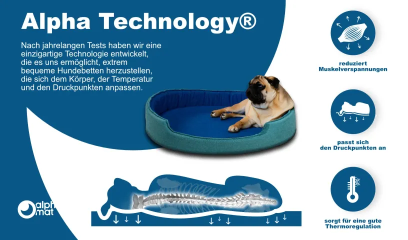 Discovery A Lager Discovery A Lager